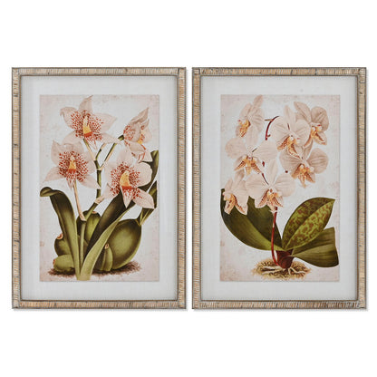 Paveikslas Home ESPRIT Tropinis Orchidėja 50 x 2,5 x 70 cm (2 vnt.)