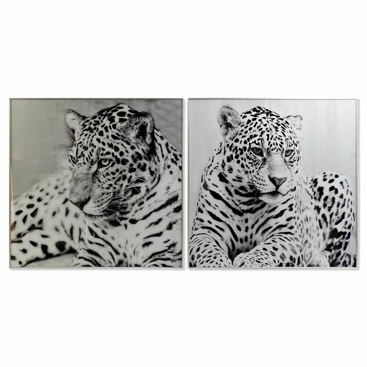 Paveikslas DKD Home Decor 100 x 2,5 x 100 cm Leopardas (2 vnt.)