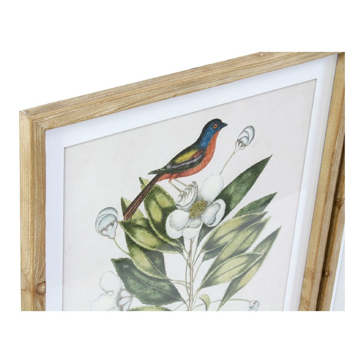 Paveikslas DKD Home Decor Bird 55 x 2,5 x 70 cm Tropinis Paukščiai (4 Dalys)