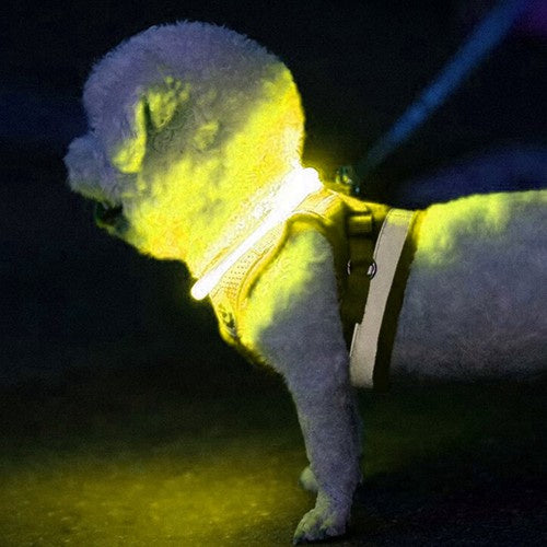LED šviesos reguliuojama apykaklė Purlov 24200