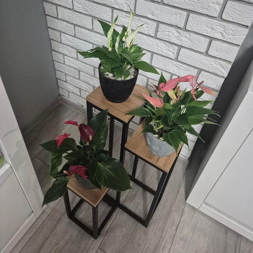 Stovintis gėlių stovas 67cm Ruhhy 25626