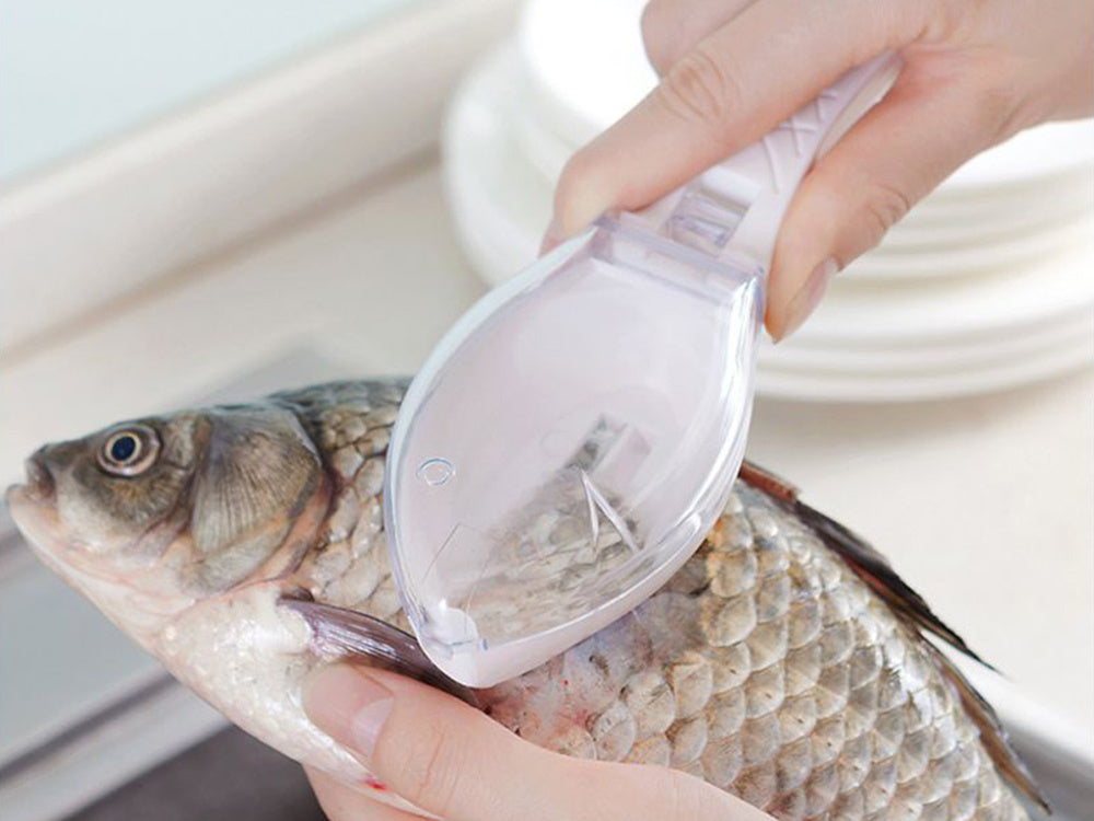 Žuvies grandiklis peilis peilių peilis konteineris