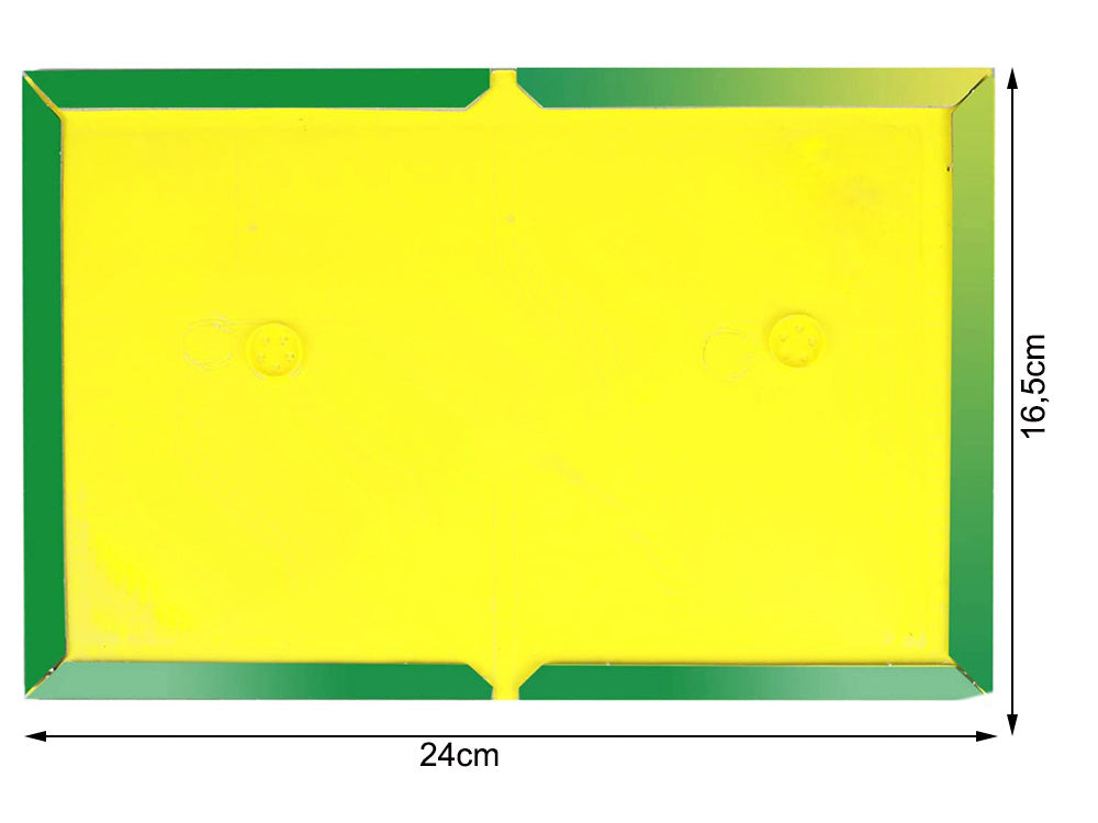 Klijų spąstai pelių gaudyklė 24cm