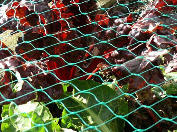 Paukščių tinkleliai paukščių tinkleliai stiprūs 4x6m