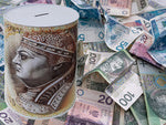 Metalinė pinigų dėžutė xl didelė