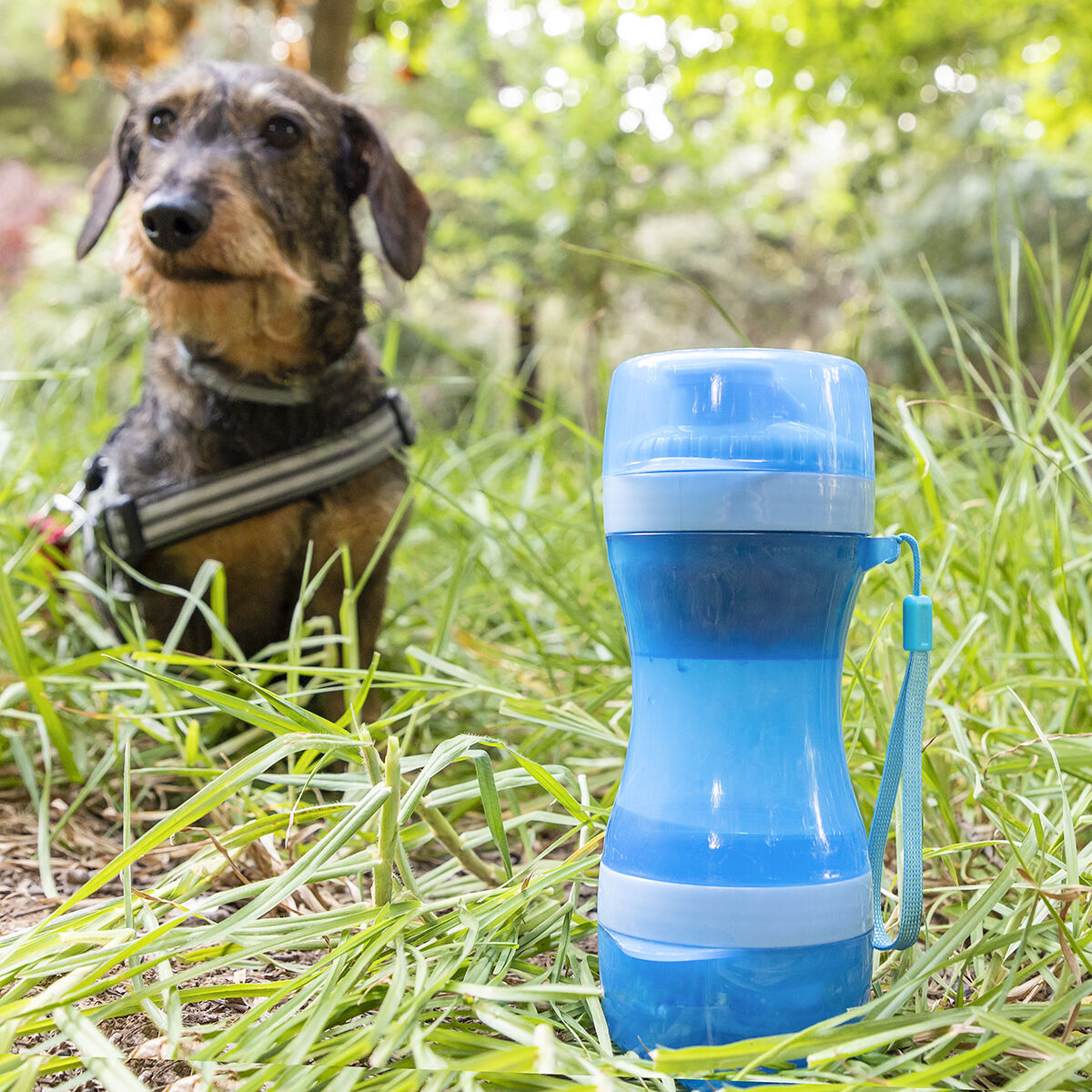 Du viename butelis su vandens ir maisto skyriais gyvūnams Pettap InnovaGoods