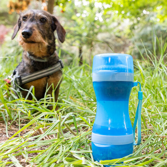 Du viename butelis su vandens ir maisto skyriais gyvūnams Pettap InnovaGoods