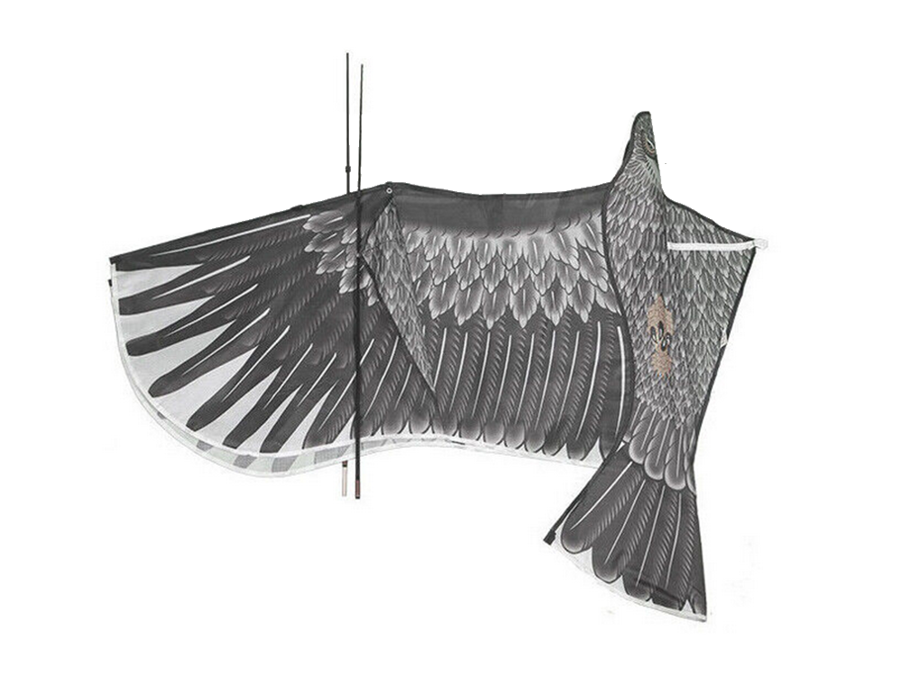 Aitvaras "bird eagle" 2 m paukščių atbaidymo priemonė su virvele