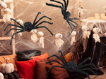 Helovino voras milžiniškas tarantulas dekoracijos