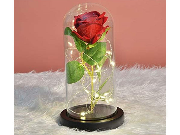 Amžina rožė stikle raudona led dovana šviečianti proga moterims