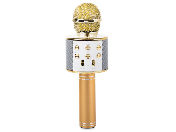 bluetooth belaidis mikrofonas karaoke garsiakalbis balso moduliatorius apvalus