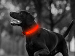 Led šviesos šviesos tamsos apylankas šuns ir katėms reguliuojamas 59cm, Raudona, Szín, Piros