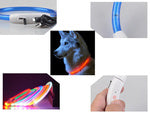Led šviesos švytintuvas šuns ir katėms vandeniui atsparus reguliuojamas 47cm usb, Mėlyna, Szín, Kék