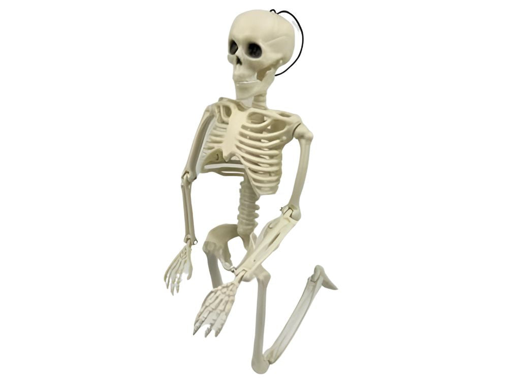 Žmogaus skeletas kabo 40cm helovino dekoracijos dirbtinis skeletas