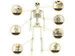 Žmogaus skeletas kabo 40cm helovino dekoracijos dirbtinis skeletas