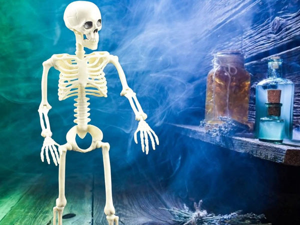 Žmogaus skeletas kabo 40cm helovino dekoracijos dirbtinis skeletas