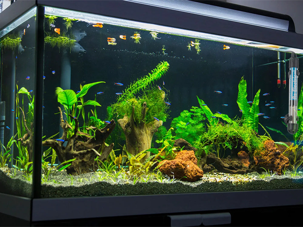 Akvariumo šildytuvas 50w temperatūros kontrolės termostatas efektyvus 50l šildymas