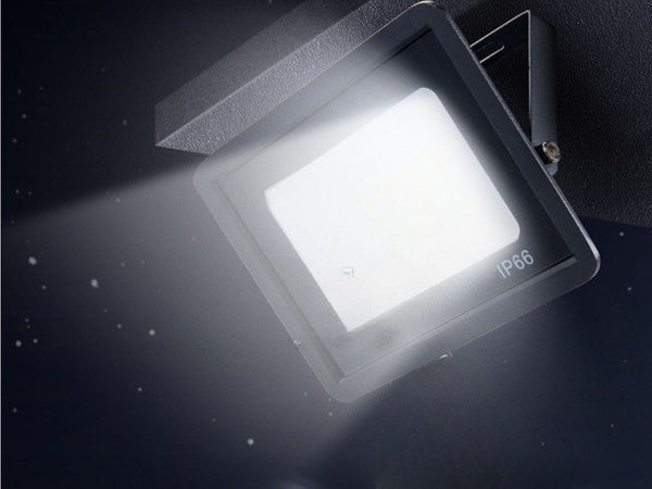 LED halogeninis prožektorius 30W (lauko, IP66, 6000K)
