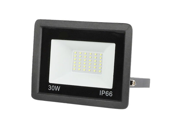 LED halogeninis prožektorius 30W (lauko, IP66, 6000K)