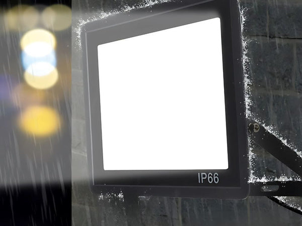 LED halogeninis prožektorius 30W (lauko, IP66, 6000K)