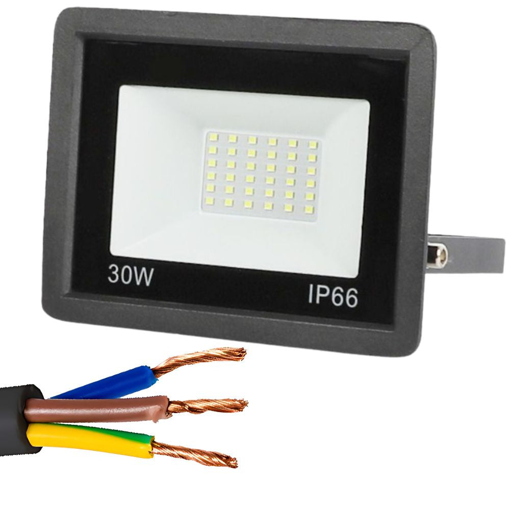 LED halogeninis prožektorius 30W (lauko, IP66, 6000K)