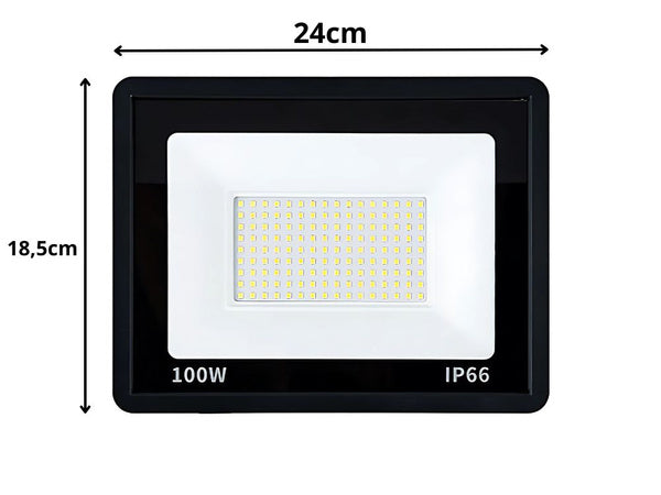LED halogeninis prožektorius 100W (lauko, IP66, 6000K)