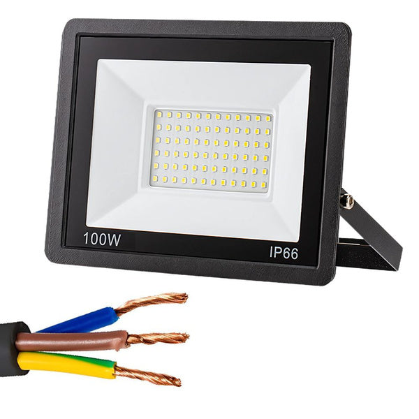 LED halogeninis prožektorius 100W (lauko, IP66, 6000K)
