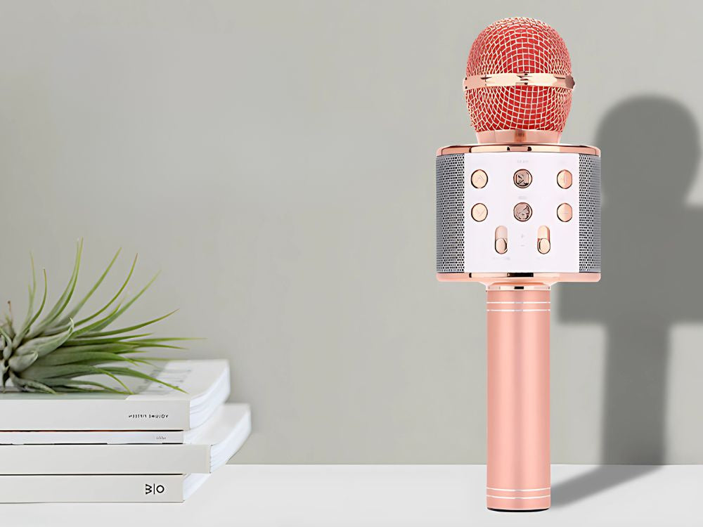 Belaidis mikrofonas bluetooth karaoke garsiakalbis apvalus su dėklu įvairūs režimai, Rožinė, Szín, Rózsaszín