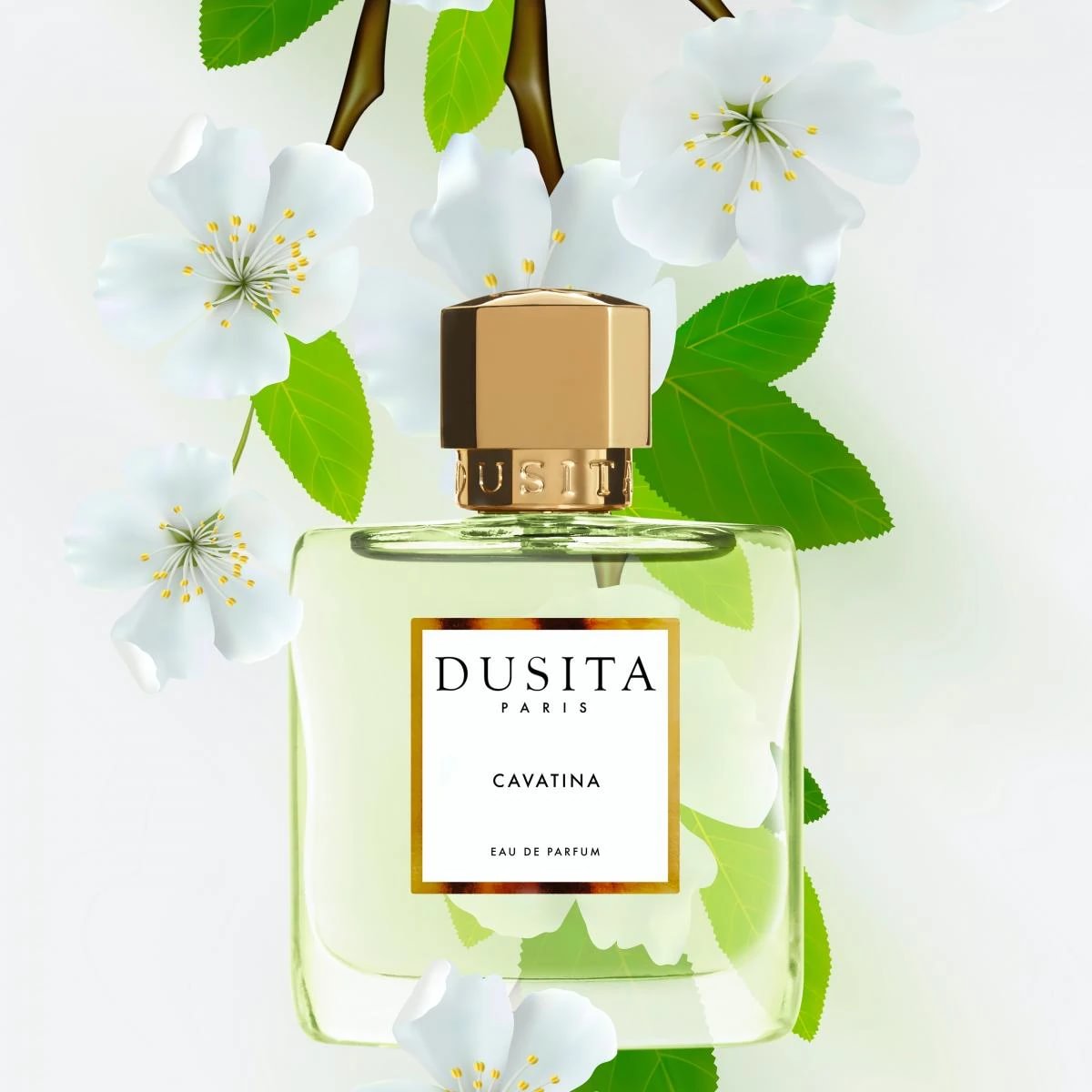 Dusita Cavatina parfumuotas vanduo 50ml