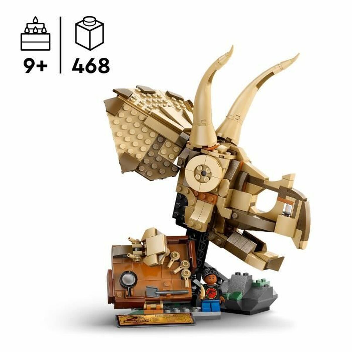 Statybos rinkinys Lego 76969