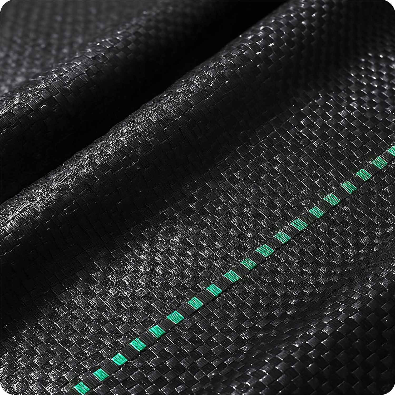 Agrotkanina 1,6 m x 50 m 70 g/m2 + 50 spygliuočių Plonos - juoda