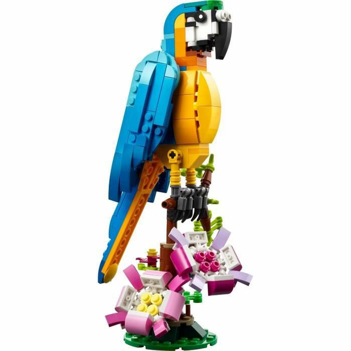 Statybos rinkinys Lego Creator 31136 Exotic parrot with frog and fish 3 viename 253 Dalys