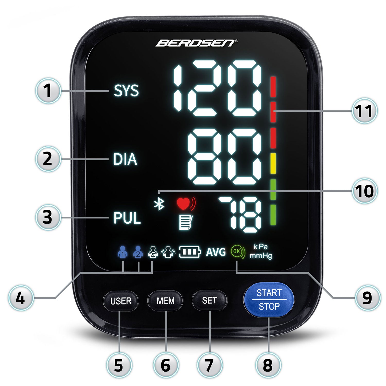 Rankinis spaudimo matuoklis su Lenkijos pranešimais ir bluetooth BD-123 Berdsen