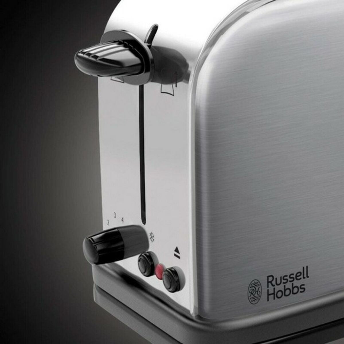 Skrudintuvas Russell Hobbs 21396-56 1000 W