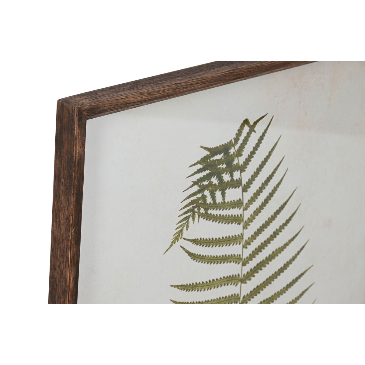 Paveikslas Home ESPRIT Papartis Cottage 45 x 2,5 x 70 cm (4 vnt.)