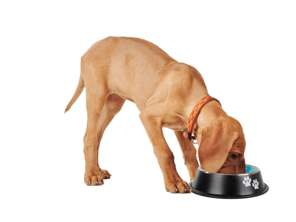 Metal dog bowl anti-slip gum 150ml