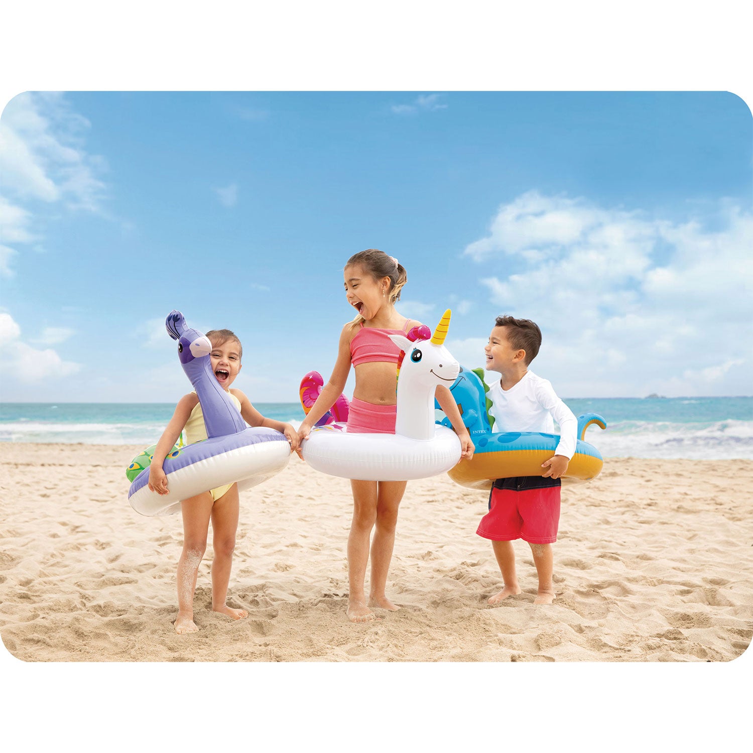 Pavos INTEX 58221 plaukimo ratas