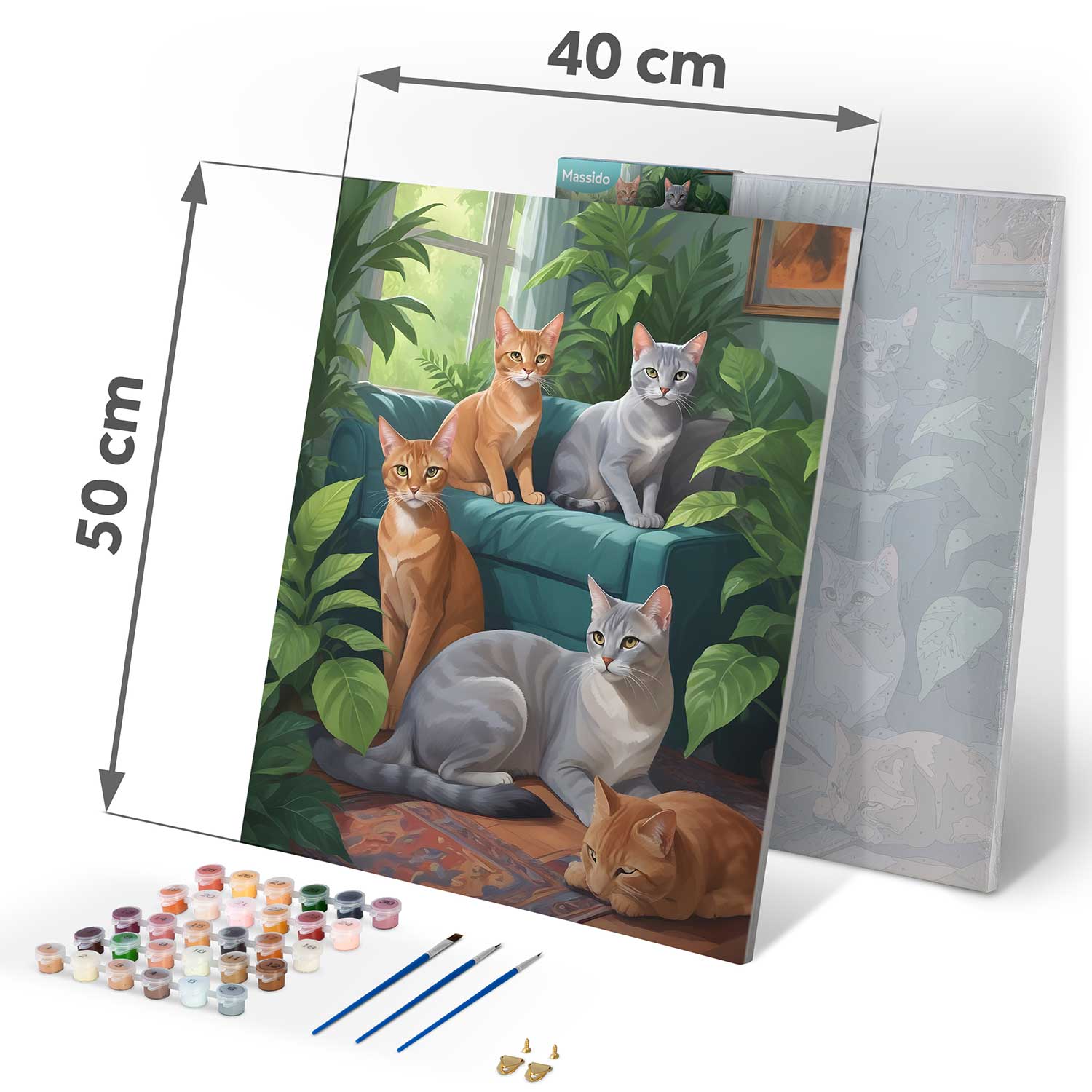 40x50 cm Massido Koty paveikslas