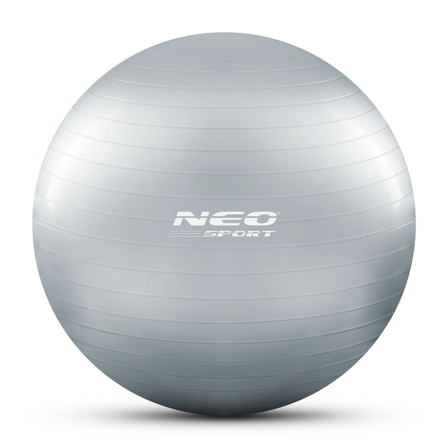 65 cm NS-951 sidabro treniruoklio kamuolys