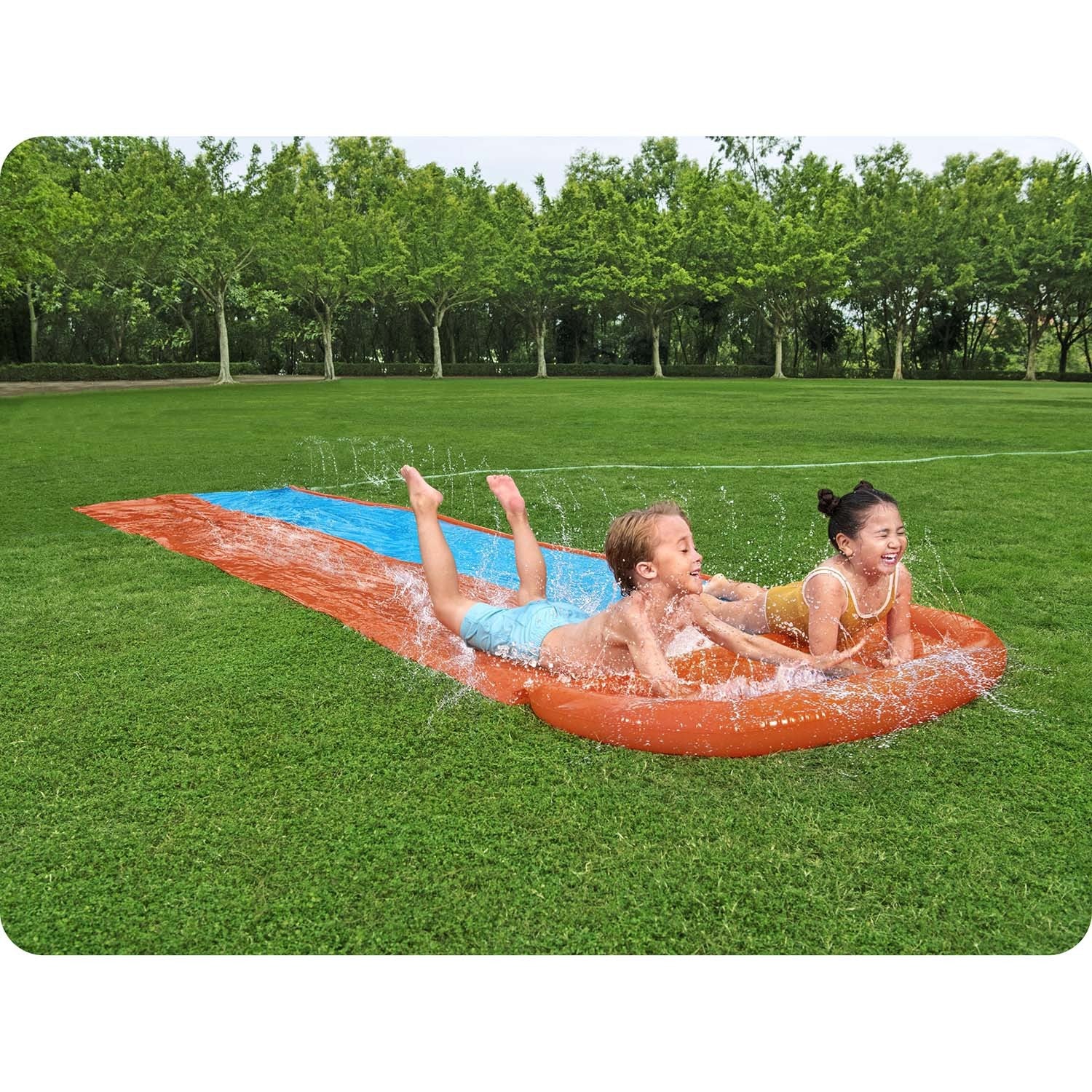 Vandens slidininkė 2os.