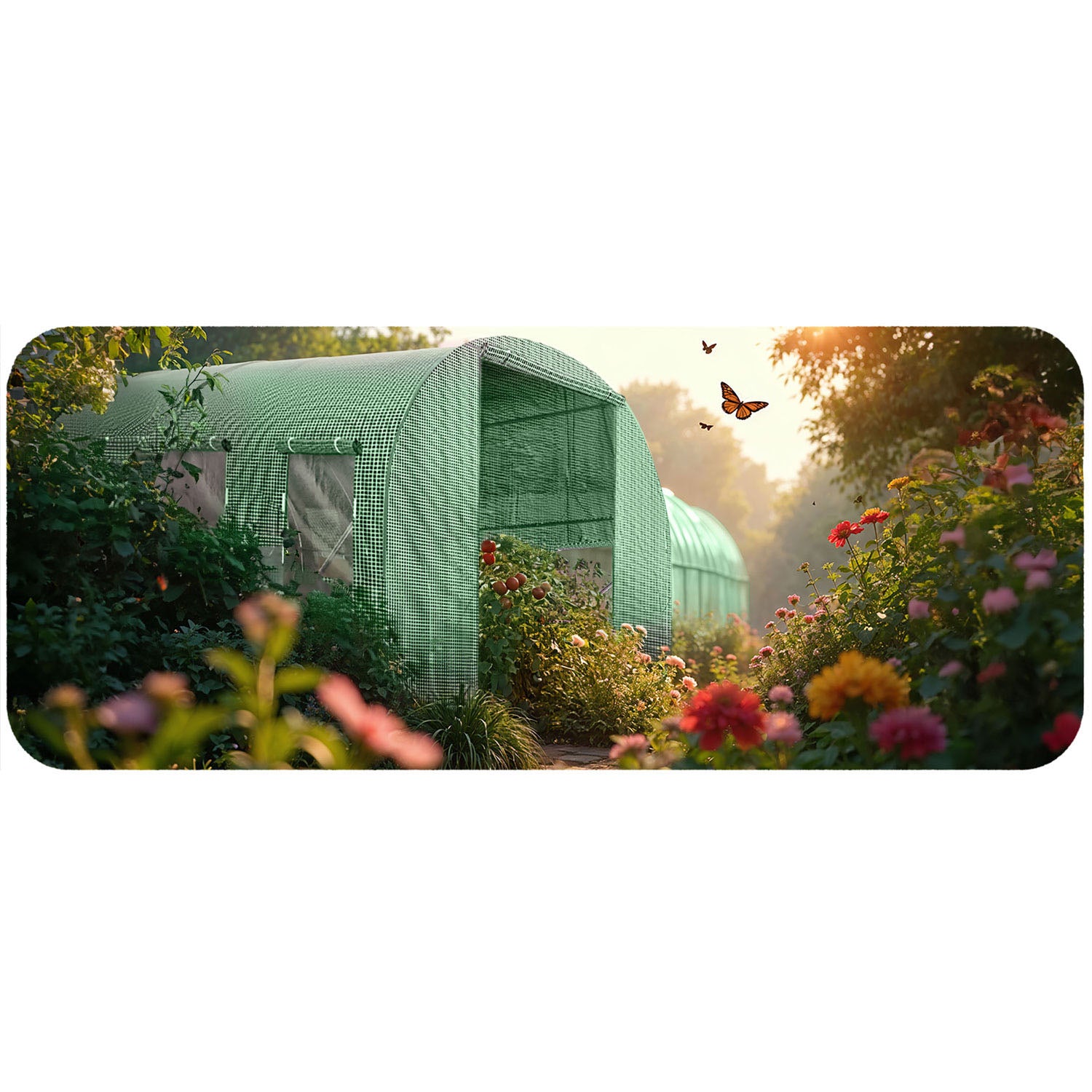 3 x 6 m (18 m2) sodas